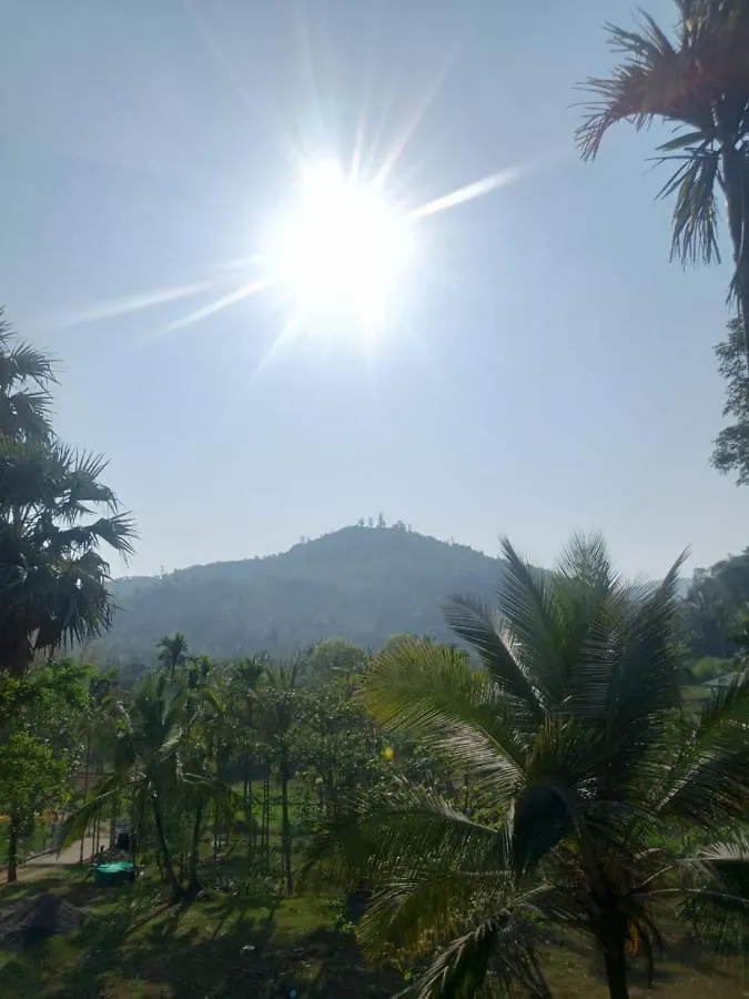 Padavayal Greens Attappādi